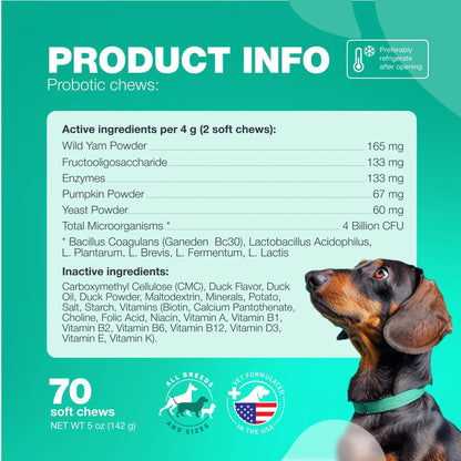 Probiotics for Dogs Support Gut Health Immunity Yeast Balance Itchy Skin