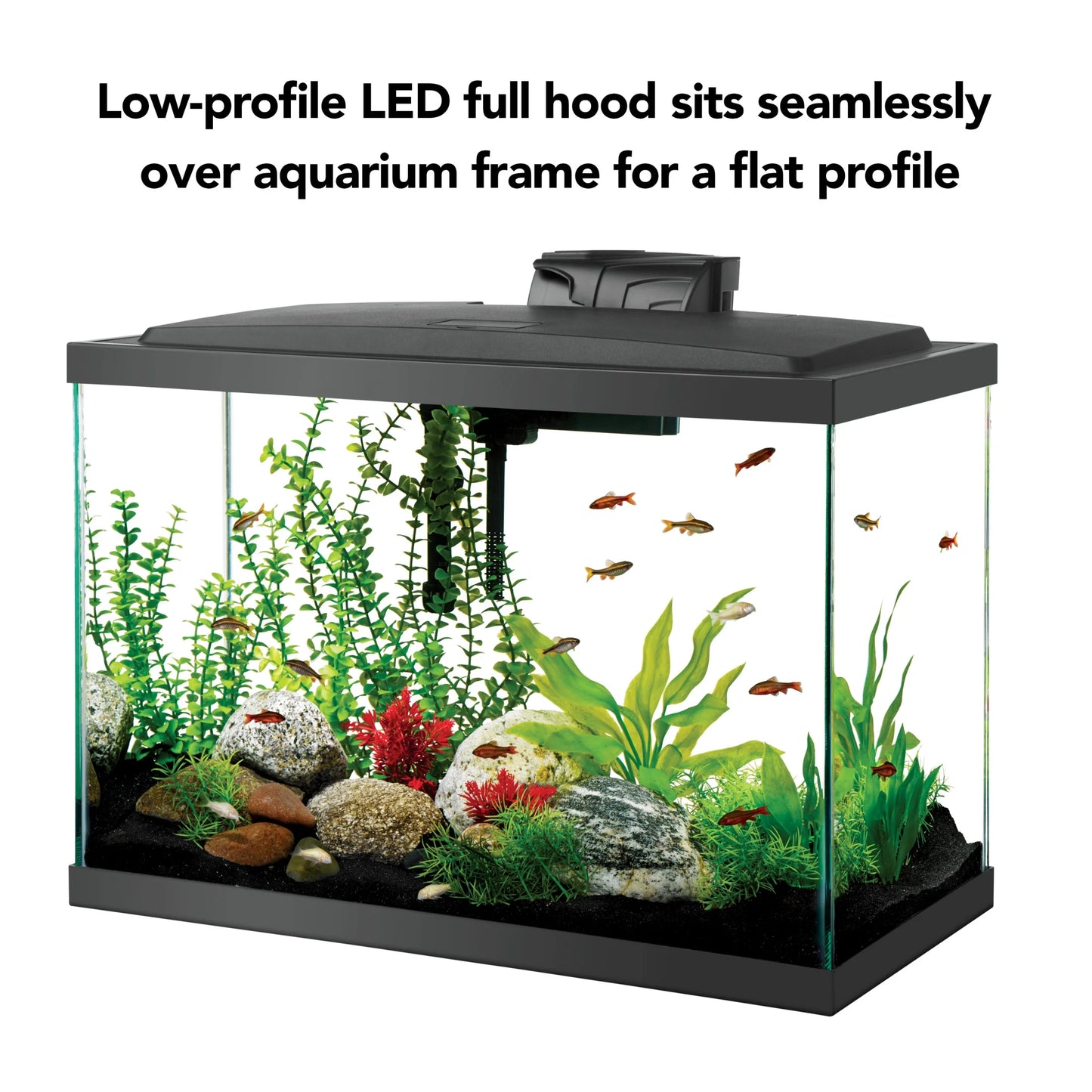 Aquarium Starter Kit with LED Lighting 20 High