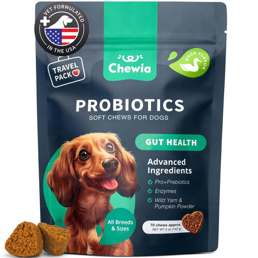 Probiotics for Dogs Support Gut Health Immunity Yeast Balance Itchy Skin